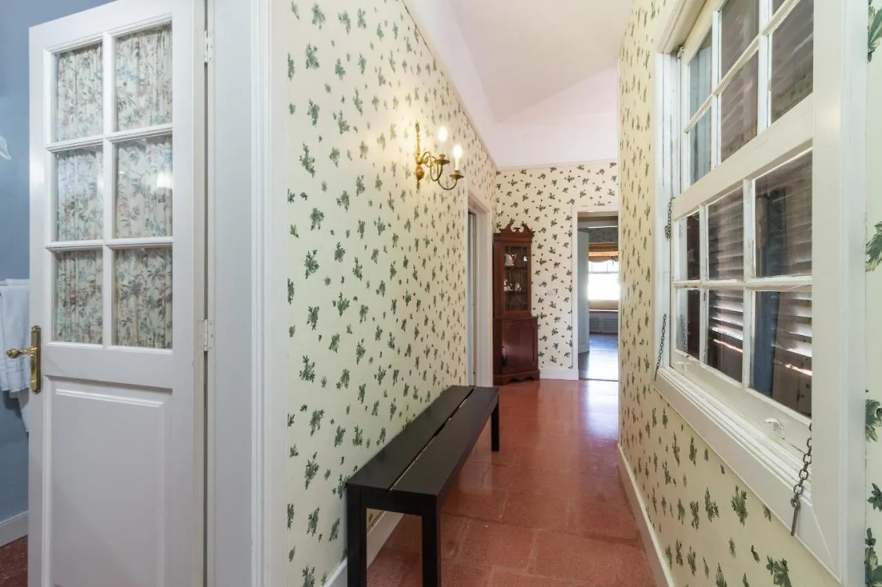 Rural House Los Orovales With Terrace And Parking Vila Puerto de la Cruz  Espanha