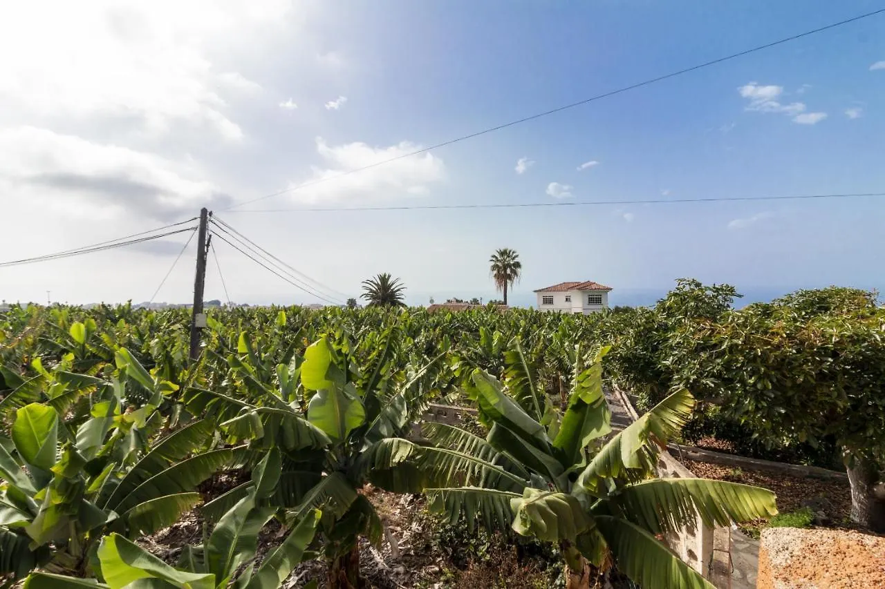 Rural House Los Orovales With Terrace And Parking Villa Puerto de la Cruz  Feriehus Puerto de la Cruz (Tenerife)